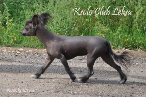 �������, ����� ����������� ��������