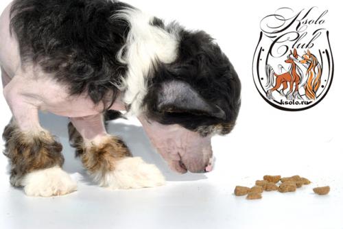 �������, ����� ����������� ��������