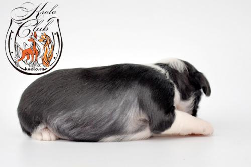 �������, ����� ����������� ��������