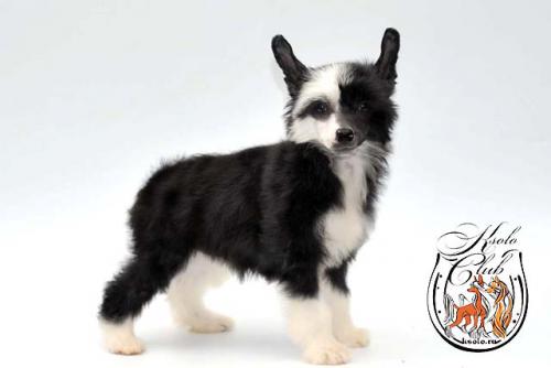 �������, ����� ����������� ��������