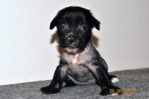 �������, ����� ����������� ��������