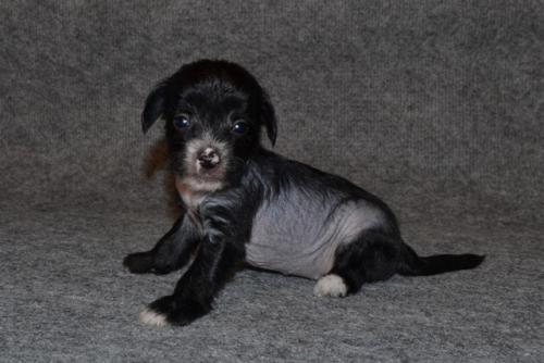 �������, ����� ����������� ��������