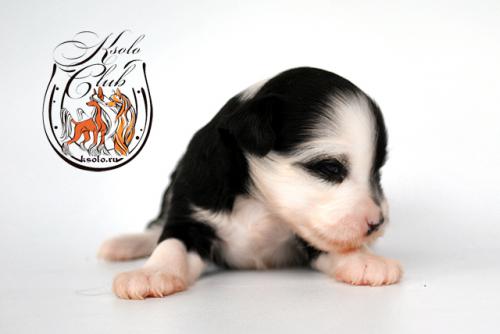 �������, ����� ����������� ��������