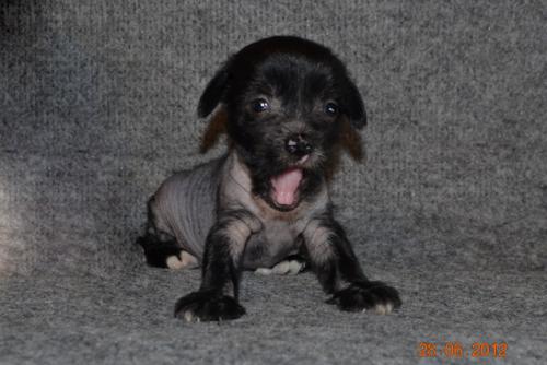 �������, ����� ����������� ��������