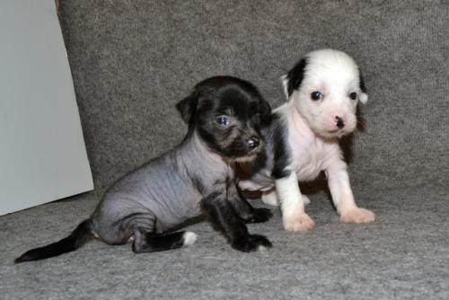 �������, ����� ����������� ��������