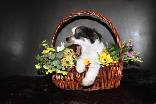 �������, ����� ����������� ��������