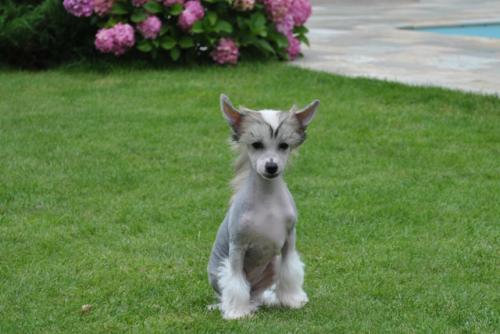 �������, ����� ����������� ��������