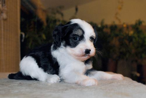 �������, ����� ����������� ��������