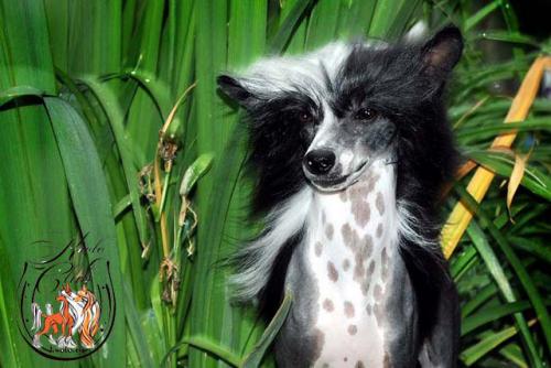 �������, ����� ����������� ��������