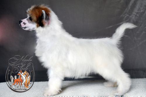 �������, ����� ����������� ��������