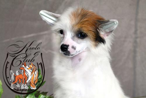 �������, ����� ����������� ��������