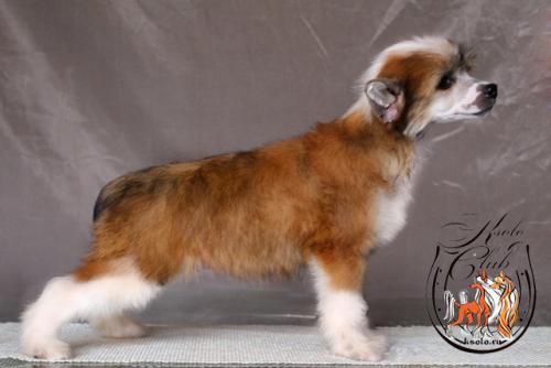 �������, ����� ����������� ��������