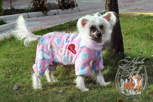 �������, ����� ����������� ��������