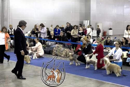 �������, ����� ����������� ��������