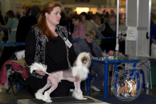 �������, ����� ����������� ��������