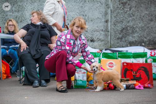 �������, ����� ����������� ��������