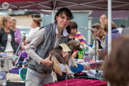 �������, ����� ����������� ��������