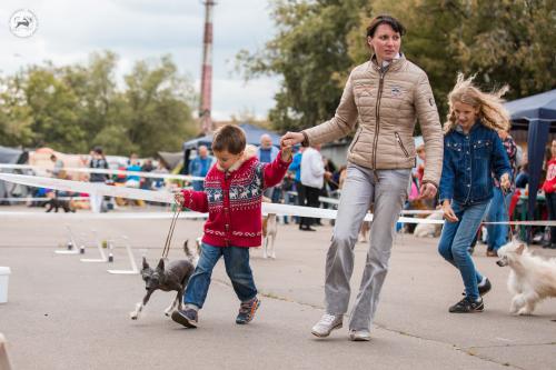 �������, ����� ����������� ��������