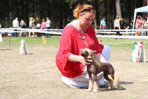 �������, ����� ����������� ��������