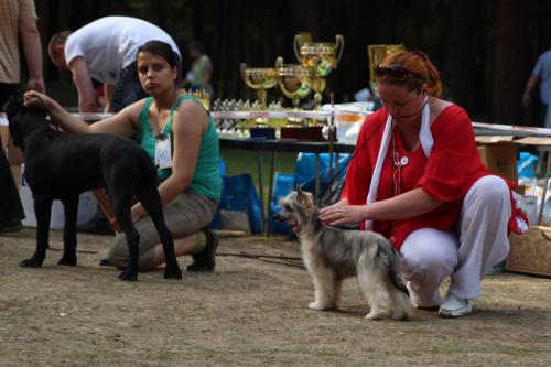 �������, ����� ����������� ��������