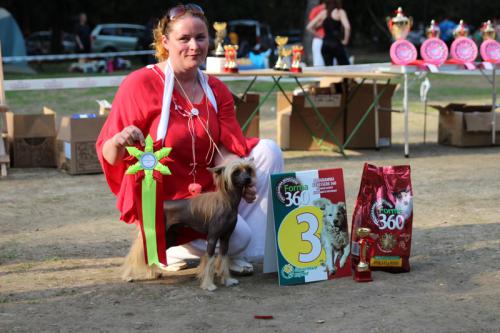 �������, ����� ����������� ��������