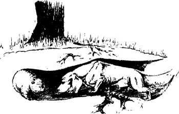 �������, ����� ����������� ��������