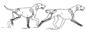 �������, ����� ����������� ��������