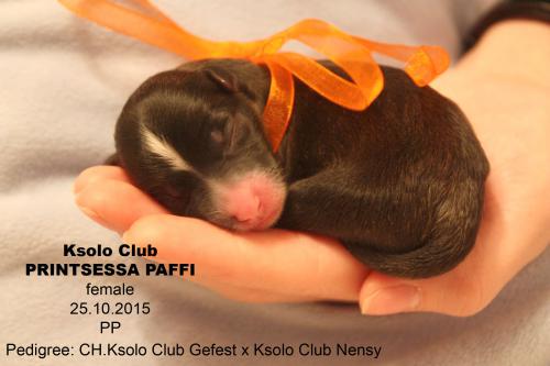 �������, ����� ����������� ��������