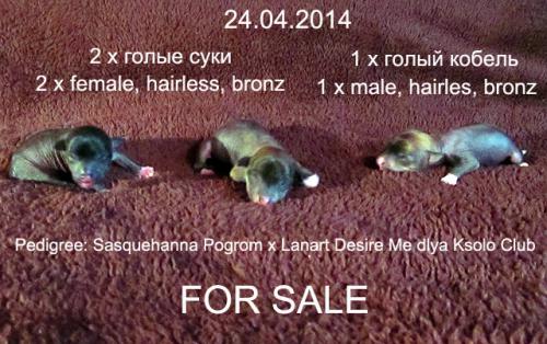 �������, ����� ����������� ��������