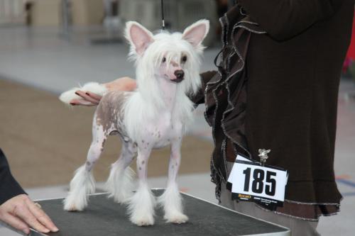 �������, ����� ����������� ��������