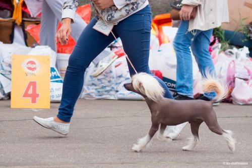 �������, ����� ����������� ��������