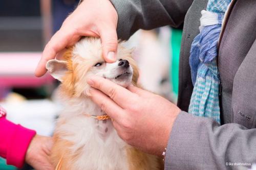 �������, ����� ����������� ��������