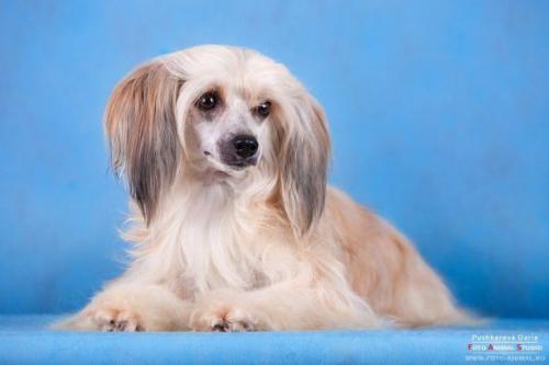 �������, ����� ����������� ��������