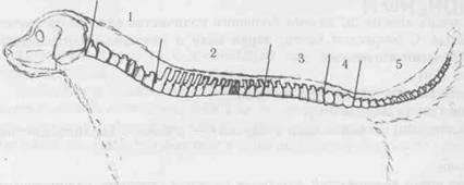 �������, ����� ����������� ��������