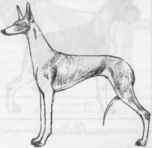 �������, ����� ����������� ��������