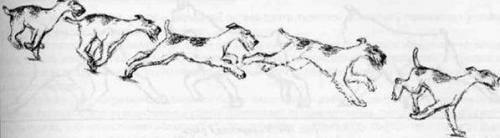 �������, ����� ����������� ��������