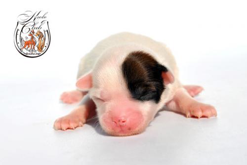 �������, ����� ����������� ��������