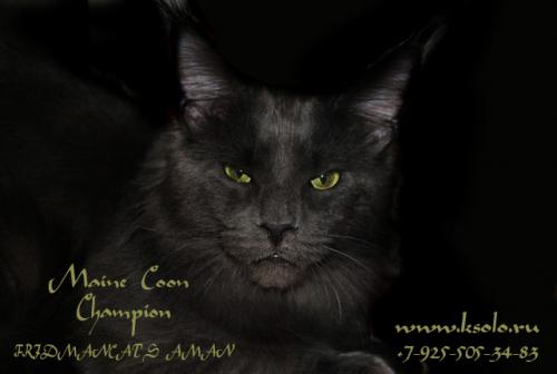 �������, ����� ����������� ��������