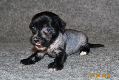 �������, ����� ����������� ��������