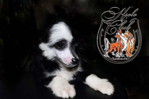 �������, ����� ����������� ��������