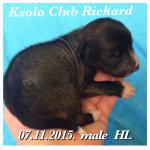    - KSOLO CLUB RICHARD -  