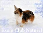 Ksolo Club Naturel