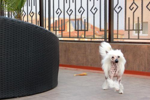 �������, ����� ����������� ��������