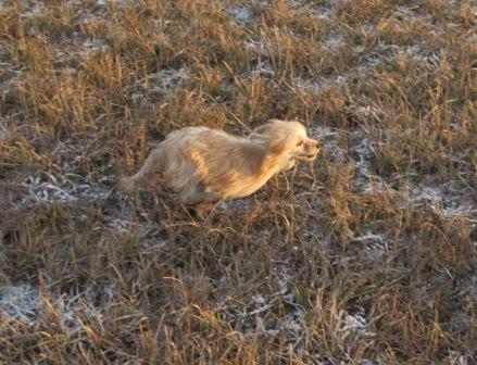 �������, ����� ����������� ��������