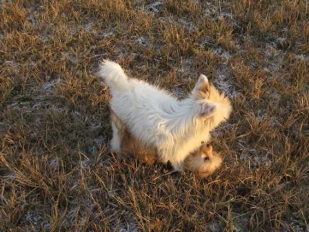 �������, ����� ����������� ��������