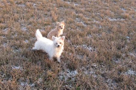 �������, ����� ����������� ��������