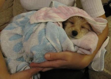 �������, ����� ����������� ��������