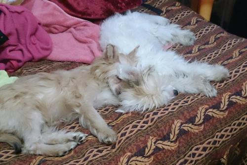 �������, ����� ����������� ��������