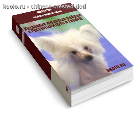 Китайские хохлатые собаки в России или путь в Европу