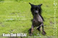 Ksolo Club Botsae